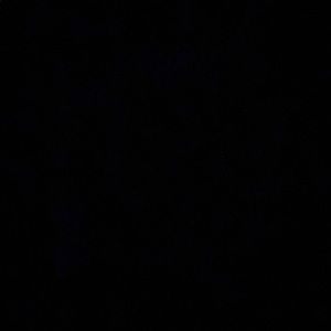 Meet your Posher, Dalila